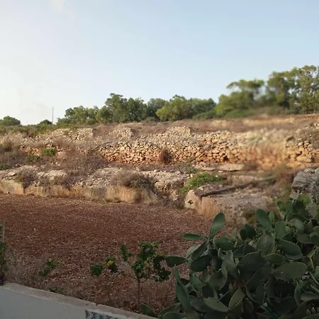 ホームステイ Poppy Court *