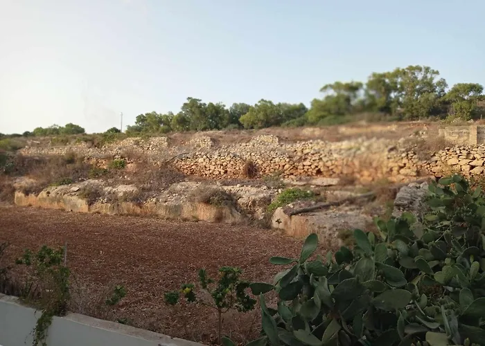 בית אירוח Poppy Court *